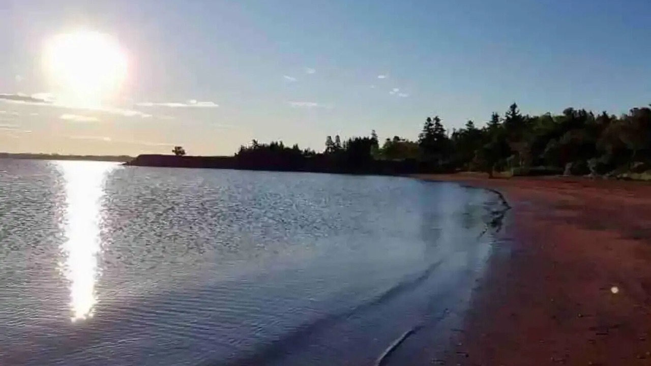 Photo of Others in Rocky Point