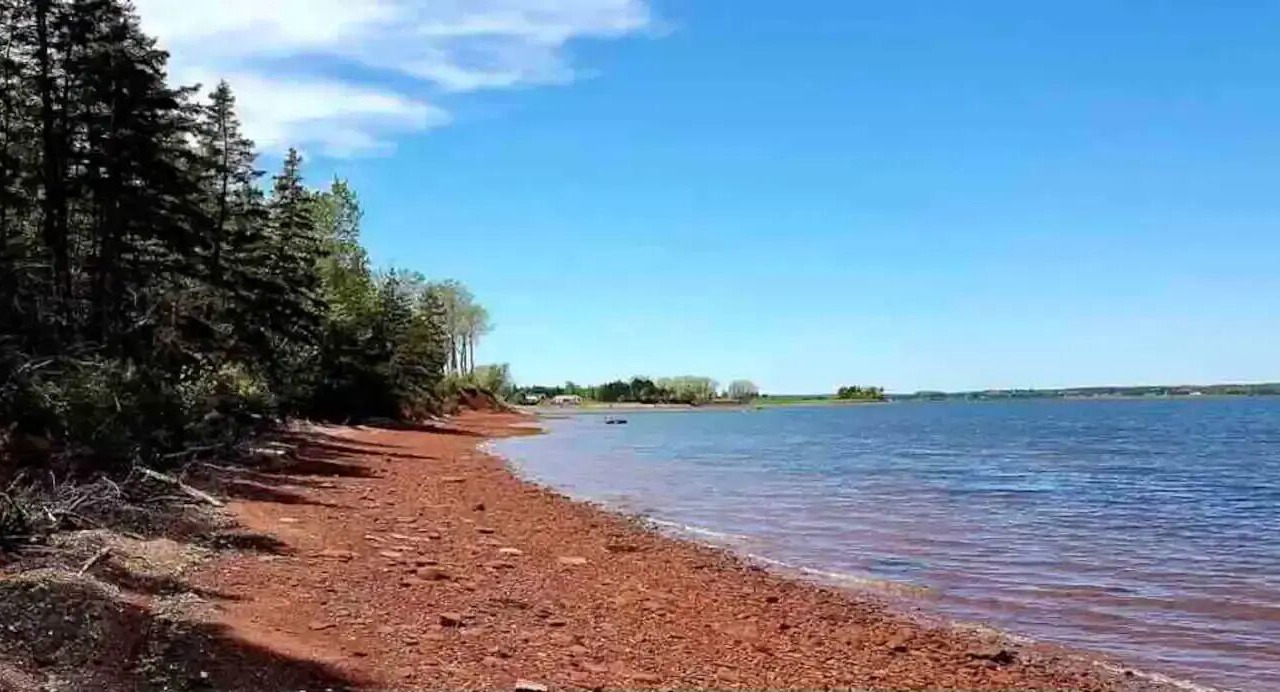 Photo of Others in Rocky Point