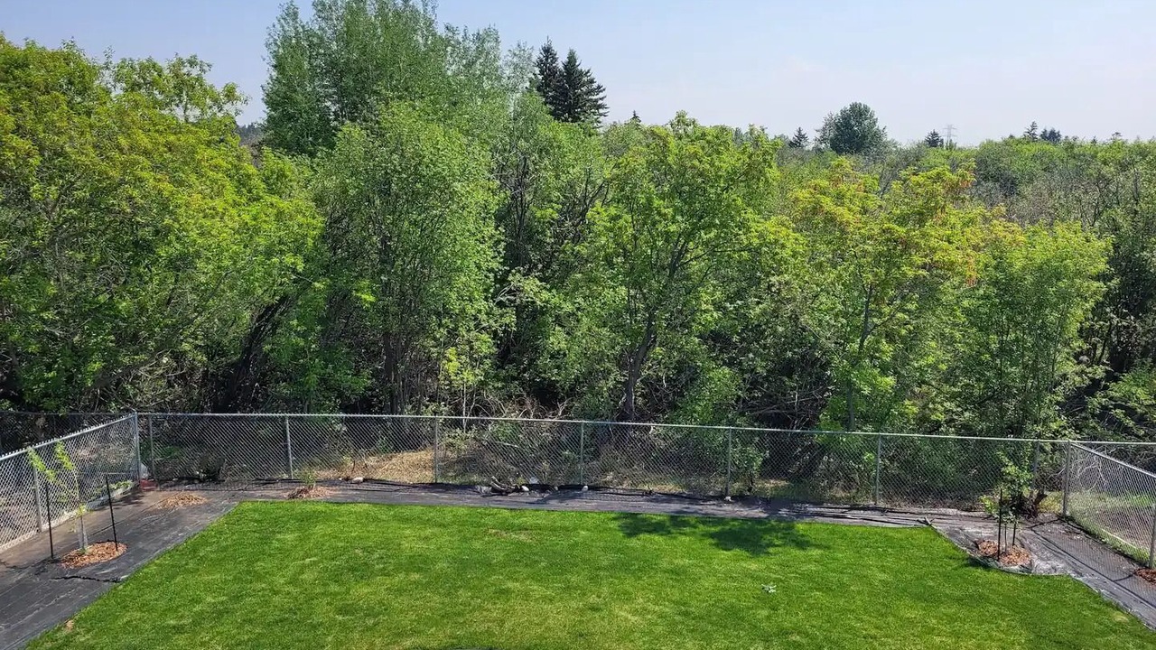Photo of Outdoor in Wabamun