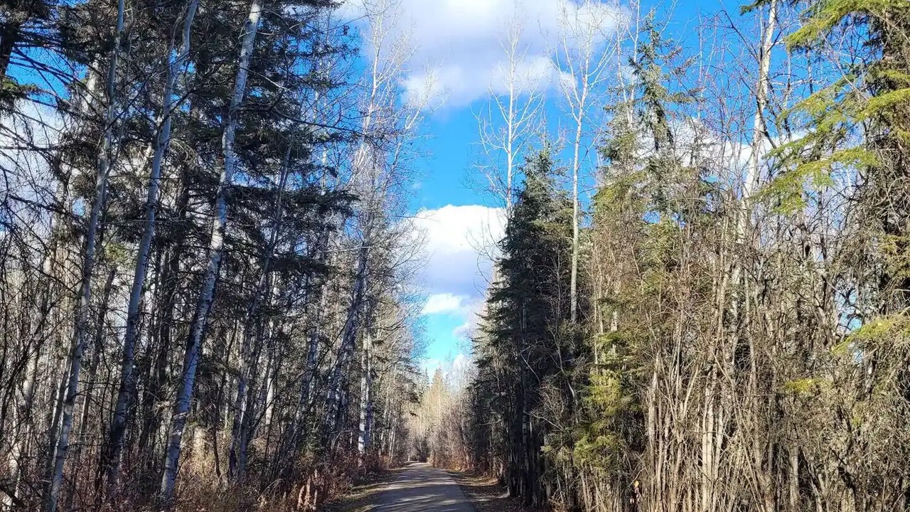Photo of Outdoor in Wabamun