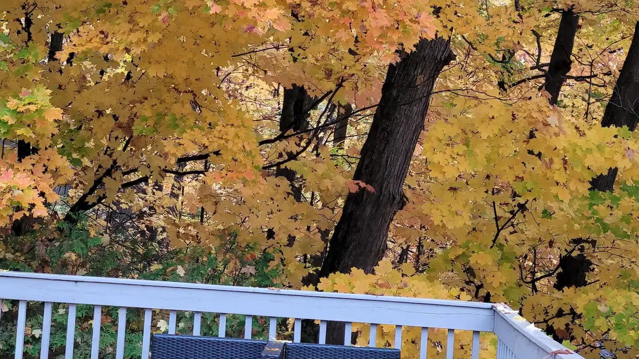 Photo of Outdoor in Feronia