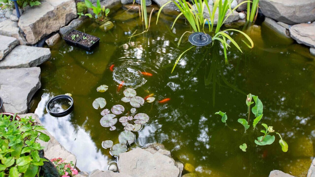 Photo of Outdoor in Salt Spring Island