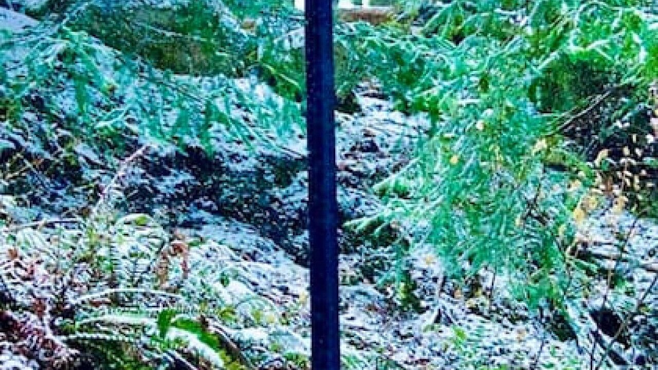 Photo of Outdoor in Salt Spring Island
