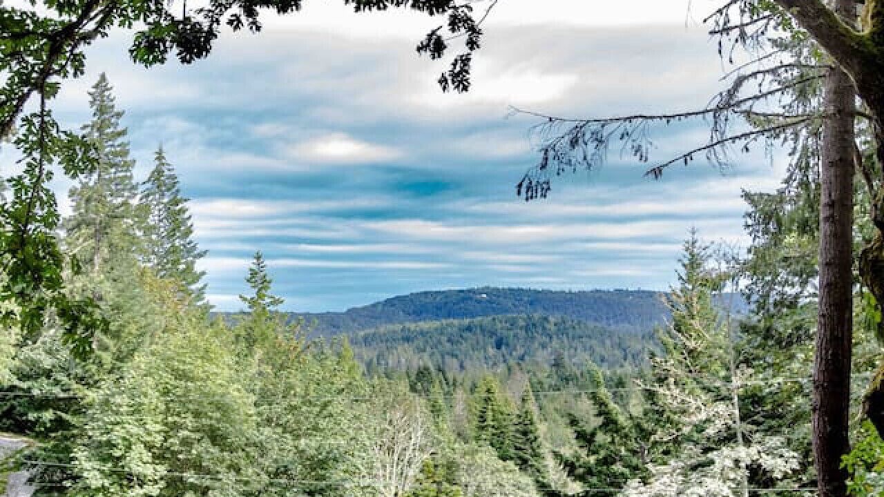 Photo of Outdoor in Salt Spring Island