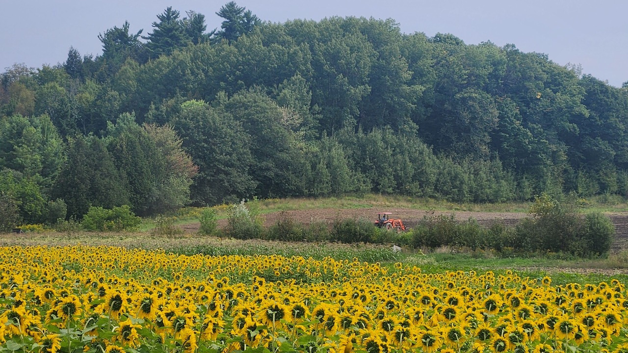 Photo of Outdoor in La Peche