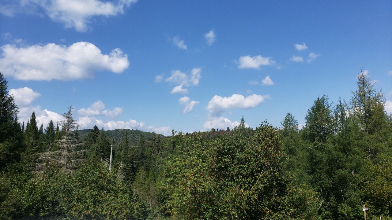 Photo of Others in Sainte-Agathe-des-Monts