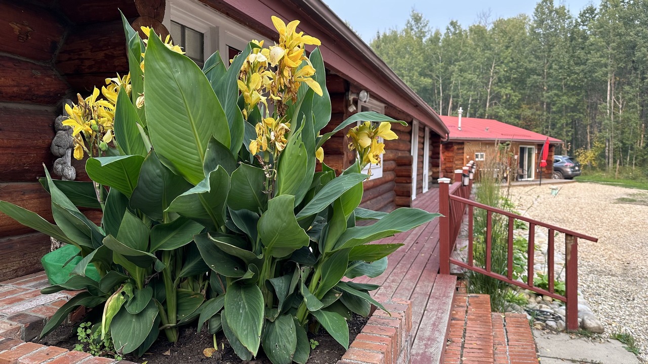 Photo of Outdoor in Central Alberta