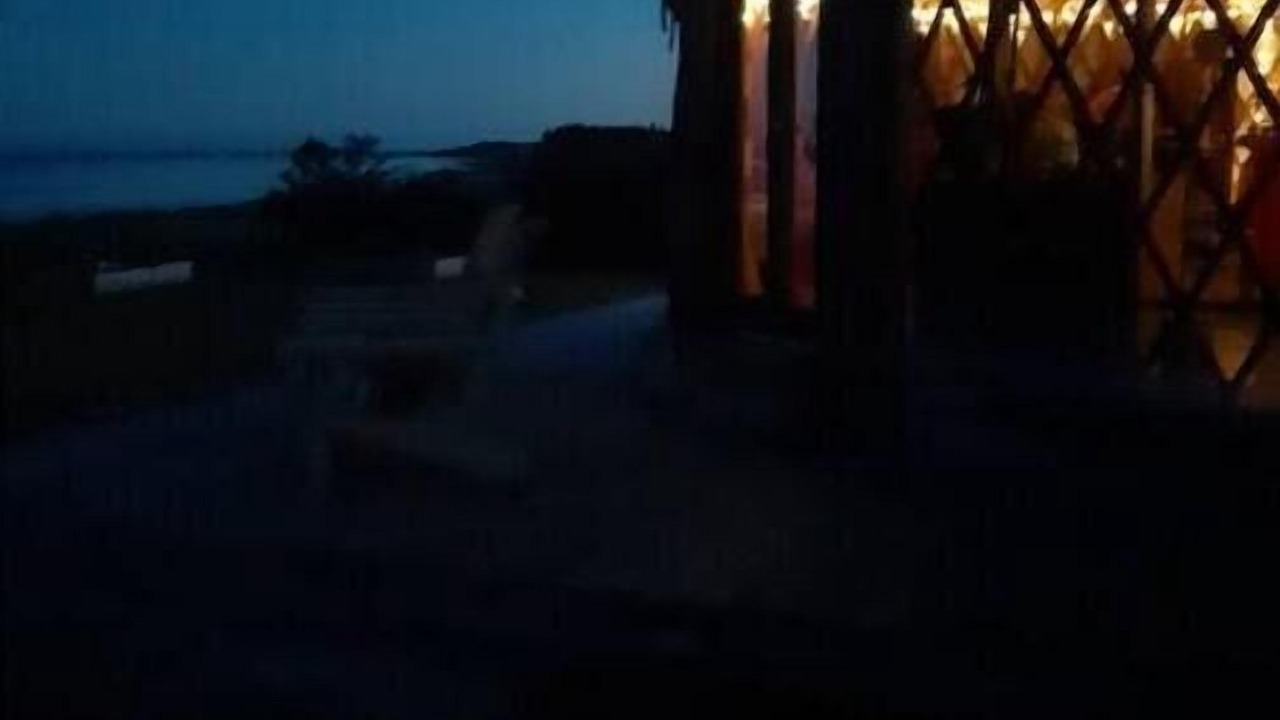 Photo of Outdoor in Botsford
