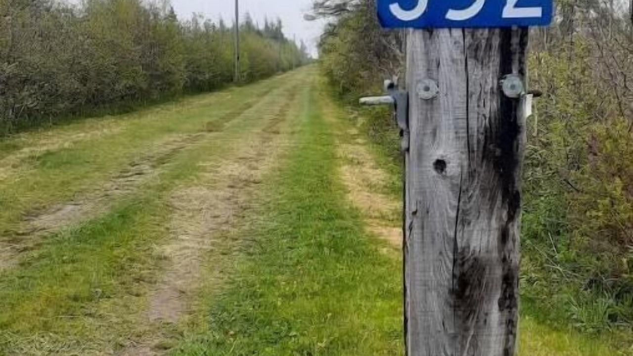 Photo of Outdoor in Botsford
