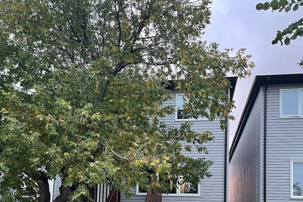 Photo of Outdoor in Regina