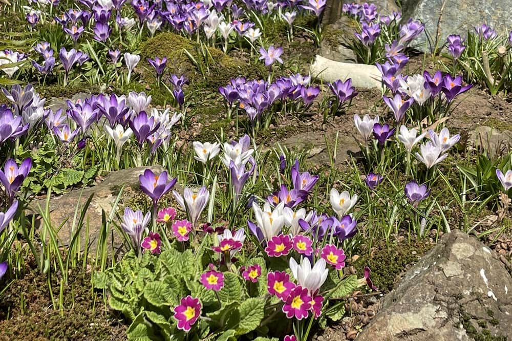 Photo of Others in Sooke