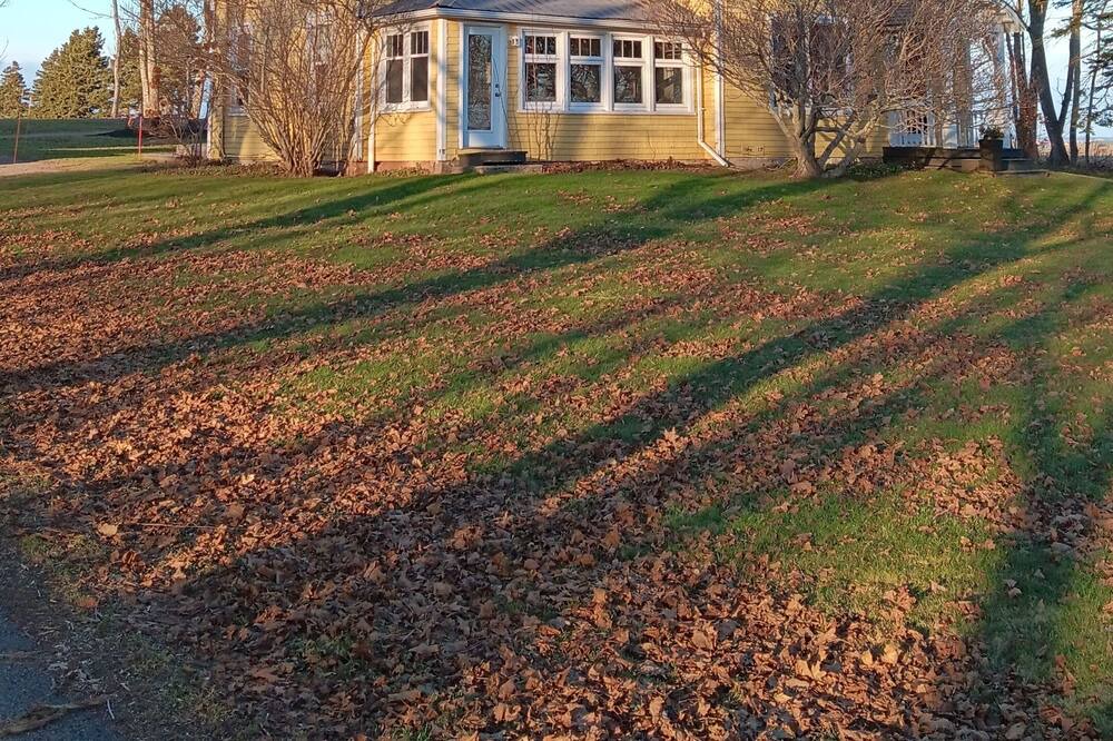 Photo of Outdoor in New London
