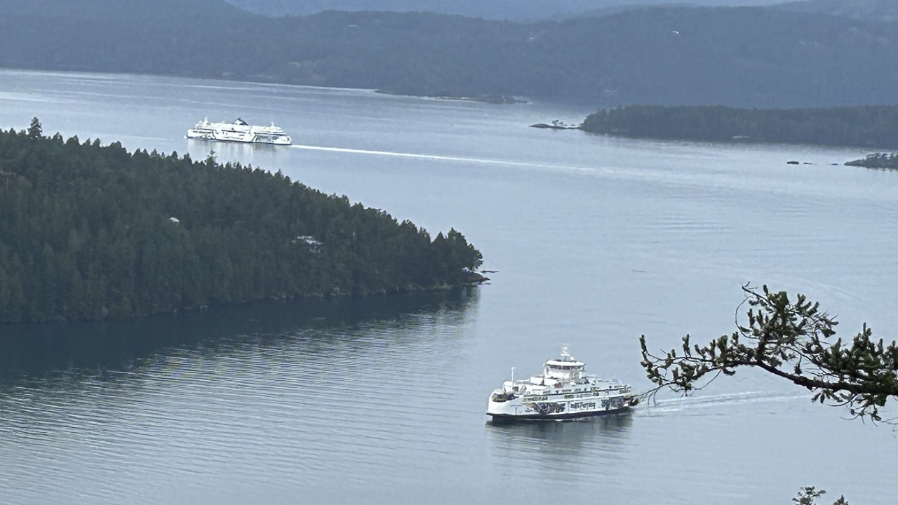 Photo of Others in Mayne Island