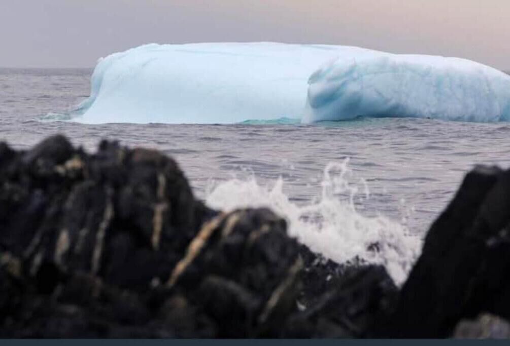 Photo of Others in Tors Cove