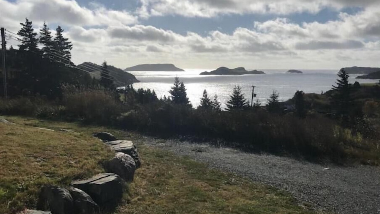 Photo of Others in Tors Cove