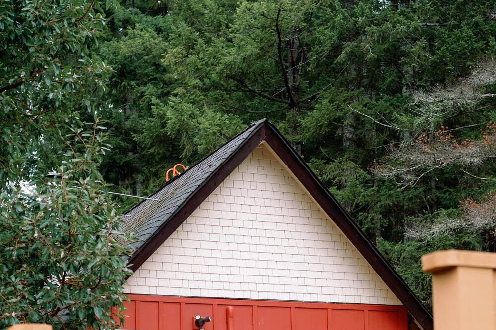Photo of Outdoor in Shawnigan Lake