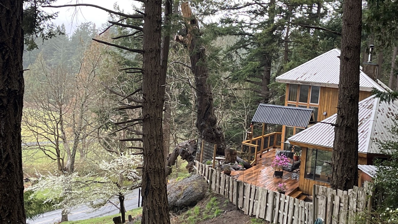 Photo of Outdoor in Hornby Island