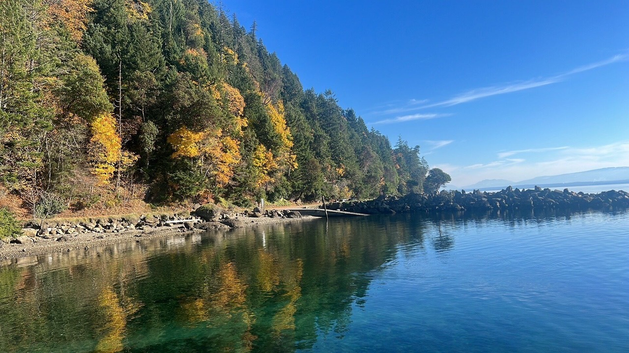 Photo of Others in Hornby Island