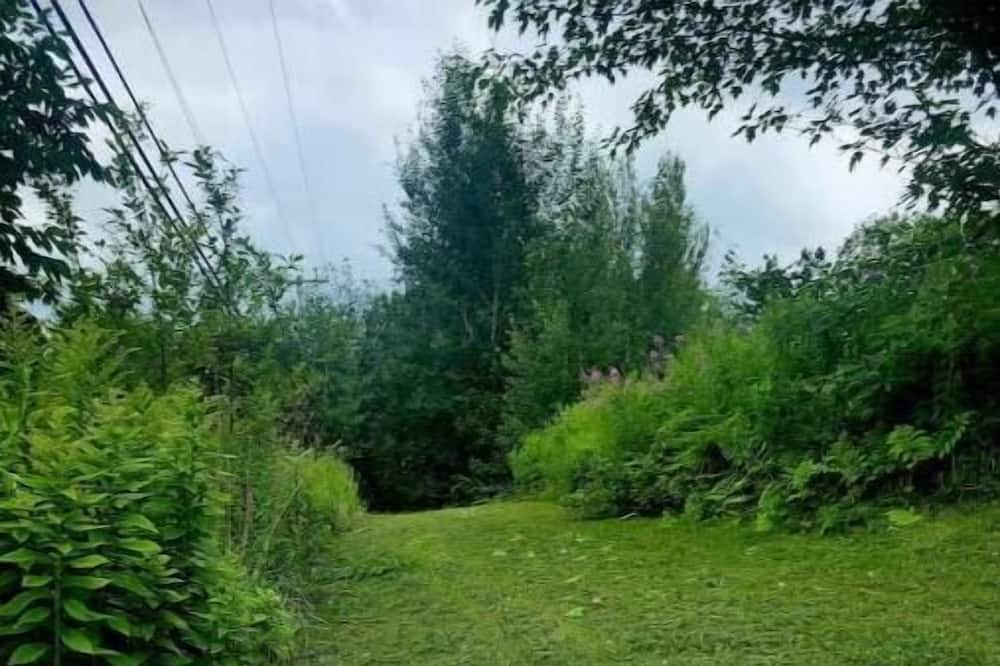 Photo of Outdoor in St-Ferdinand