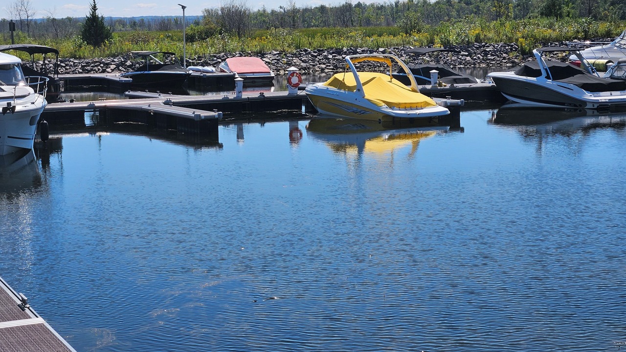 Photo of Others in Georgian Bay