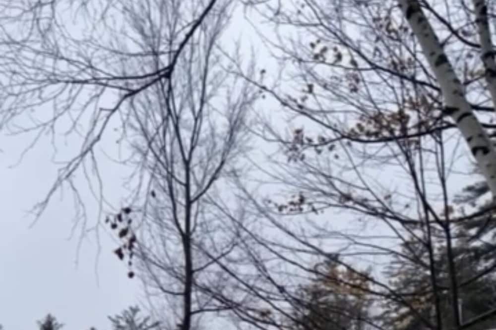 Photo of Outdoor in Greater Madawaska