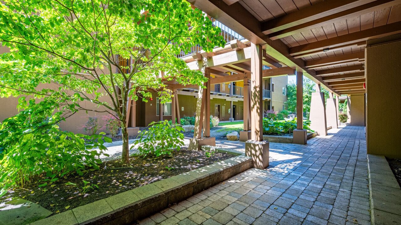 Photo of Outdoor in Westbank