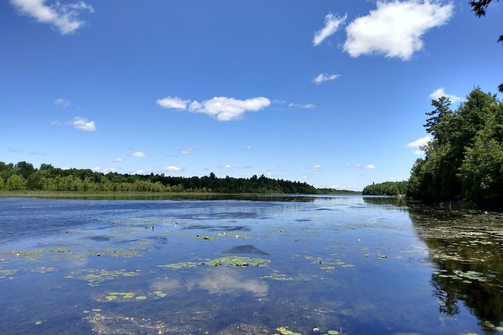 Photo of Outdoor in Tay Valley