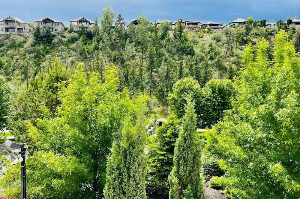 Photo of Outdoor in Quail Ridge
