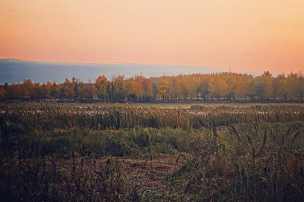 Photo of Others in Central Alberta