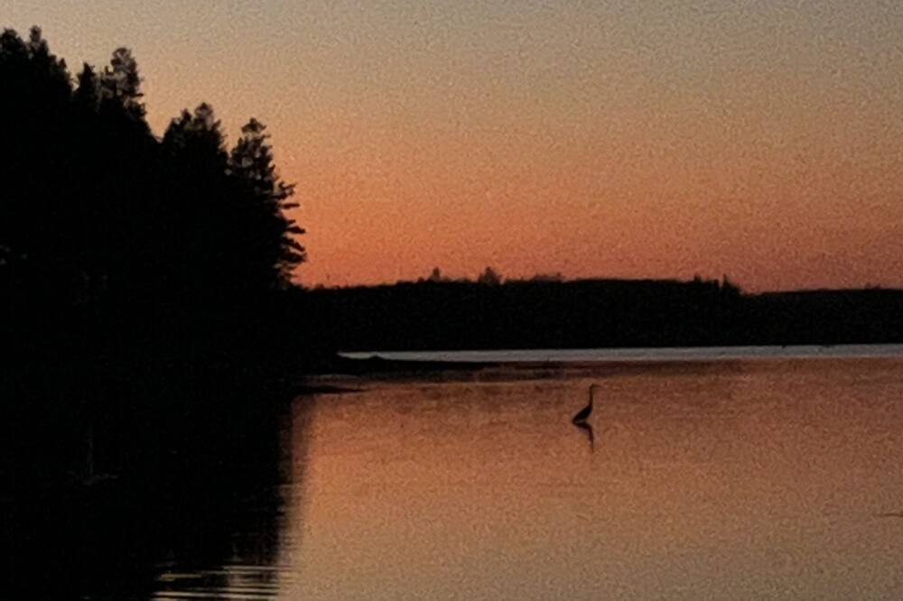 Photo of Others in O'Leary