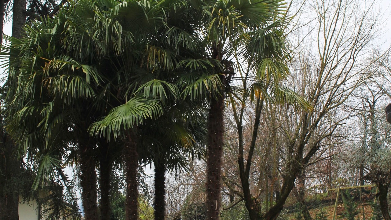 Photo of Outdoor in Arcugnano