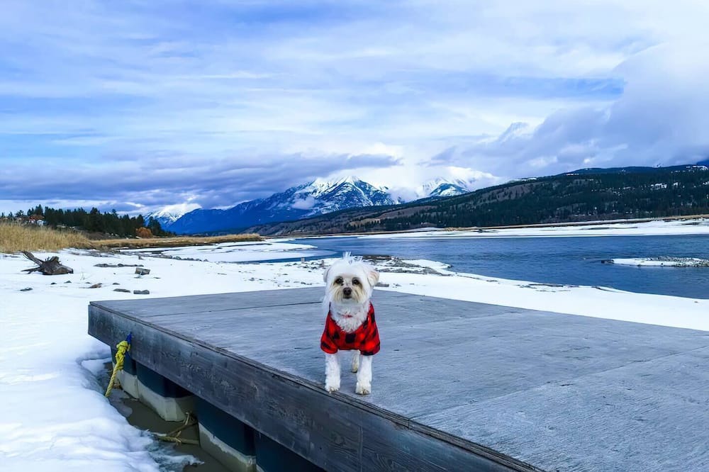 Photo of Others in East Kootenay