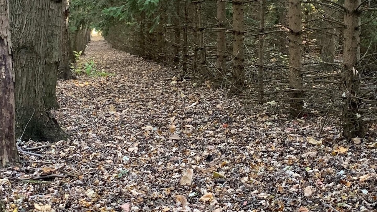 Photo of Others in Town of Essex