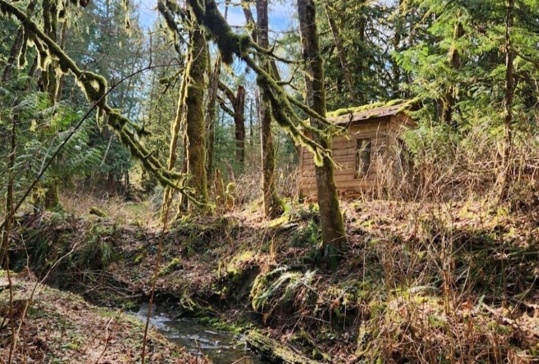 Photo of Outdoor in Maple Ridge