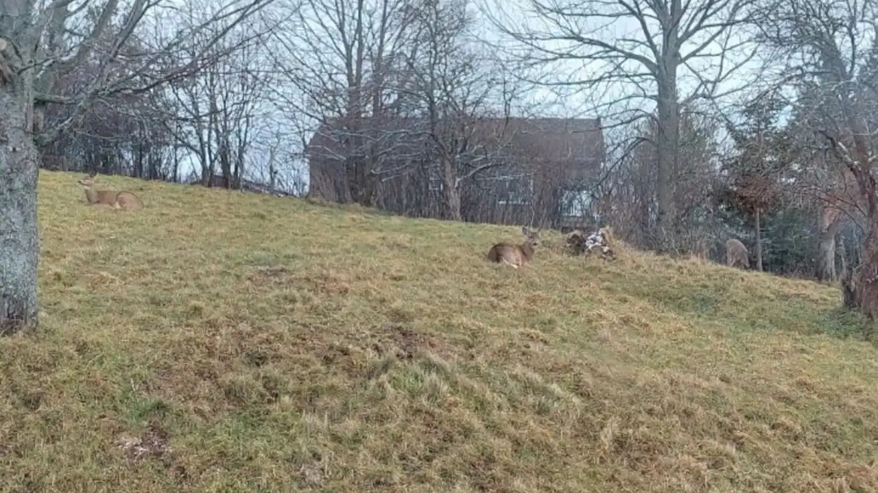 Photo of Outdoor in New Glasgow