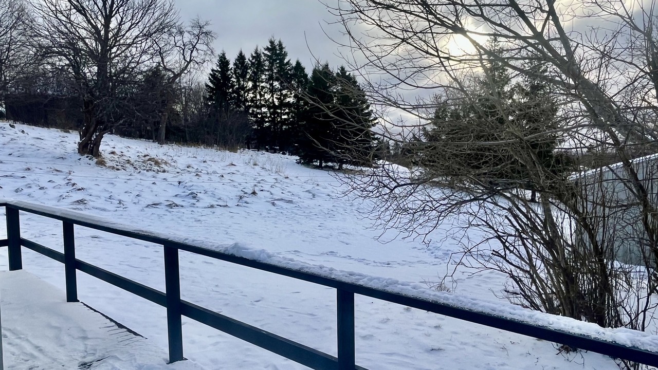 Photo of Outdoor in New Glasgow