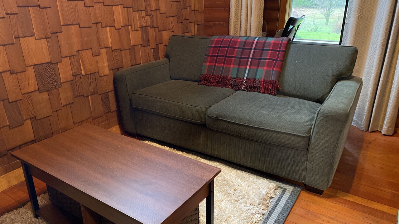 Photo of Livingroom in Courtenay