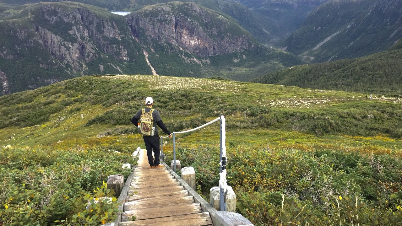 Photo of Outdoor in Rocky Harbour