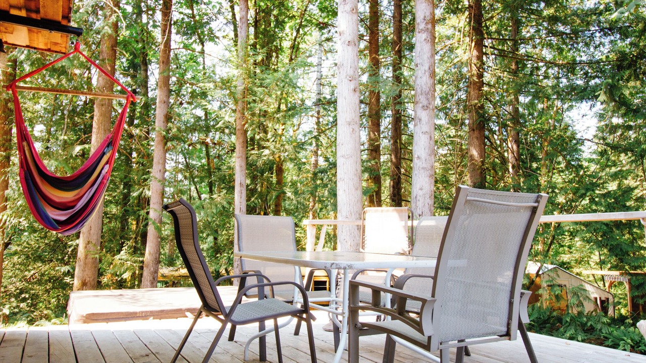 Photo of Outdoor in Sproat Lake