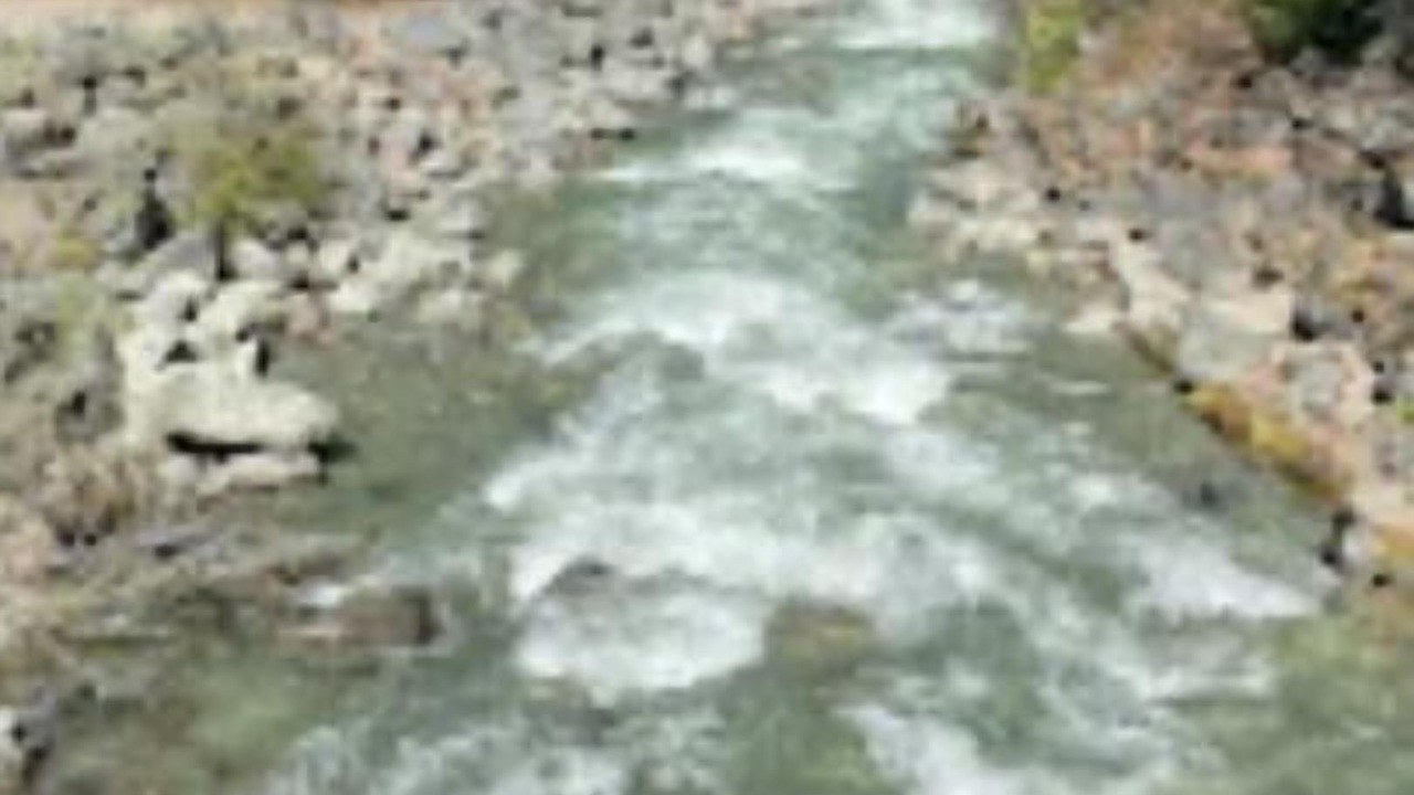 Photo of Others in Whistler Cay Heights