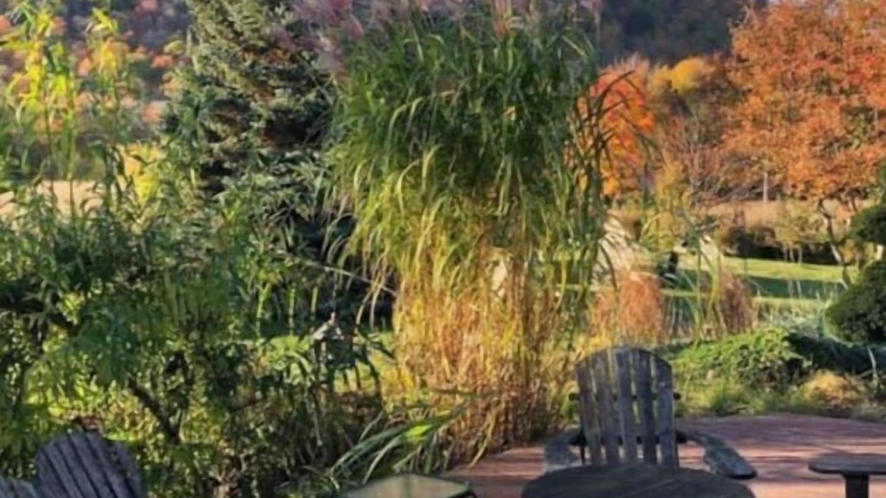 Photo of Outdoor in Saint-Paul-d'Abbotsford