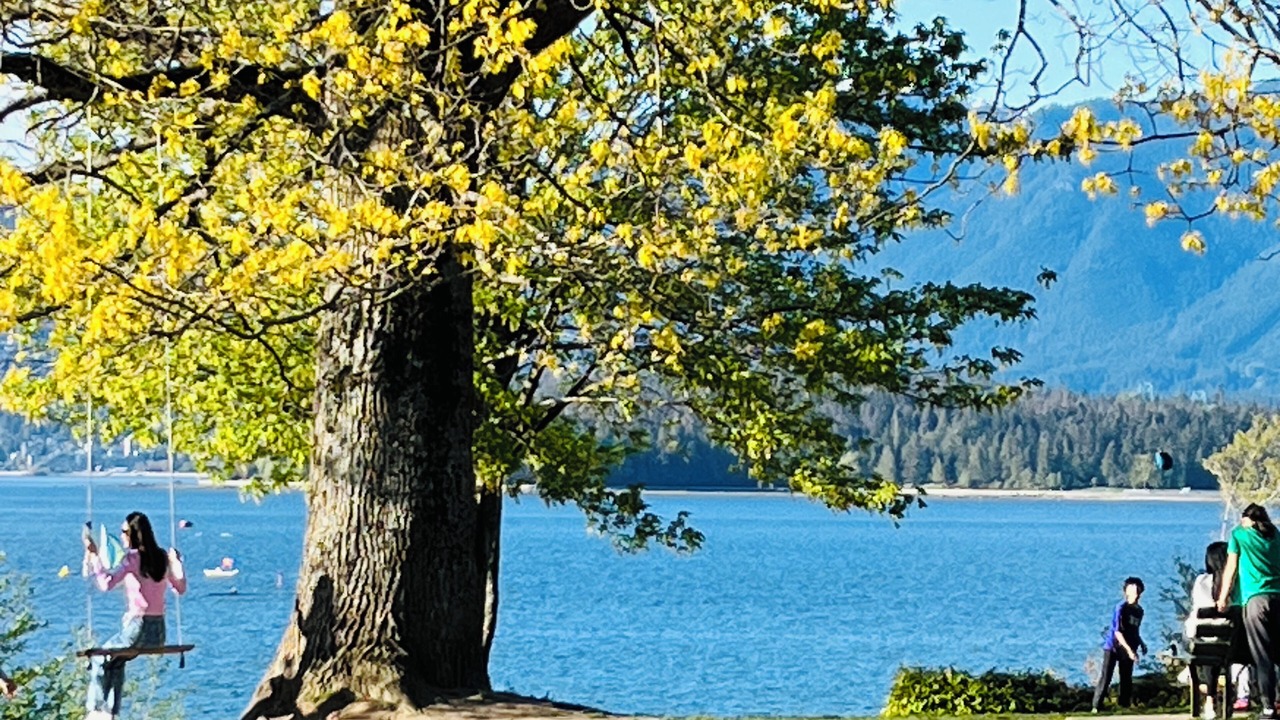 Photo of Others in Kitsilano