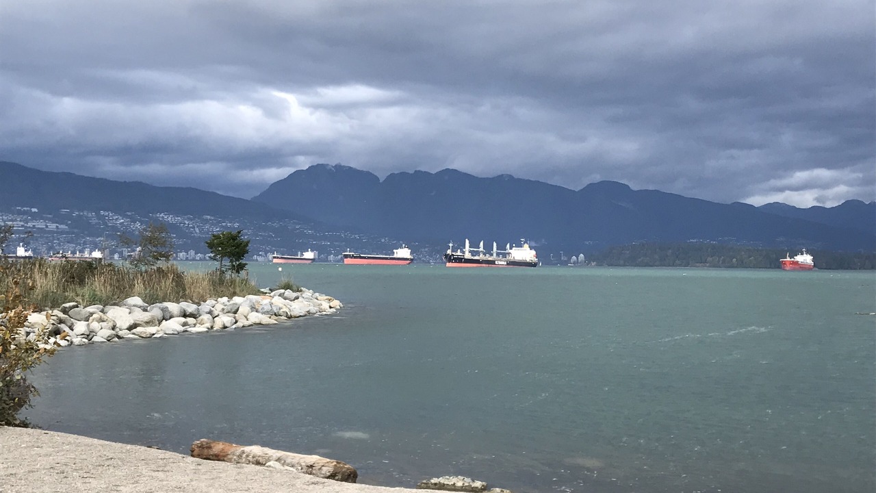 Photo of Others in Kitsilano
