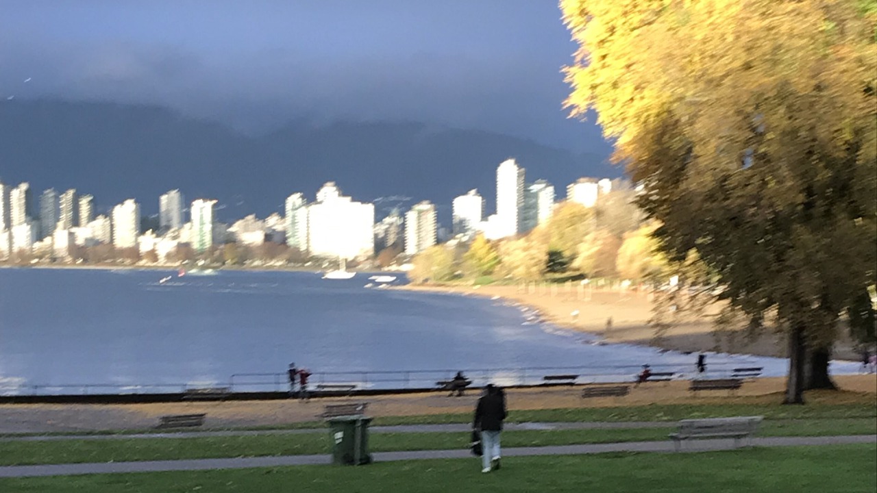 Photo of Others in Kitsilano