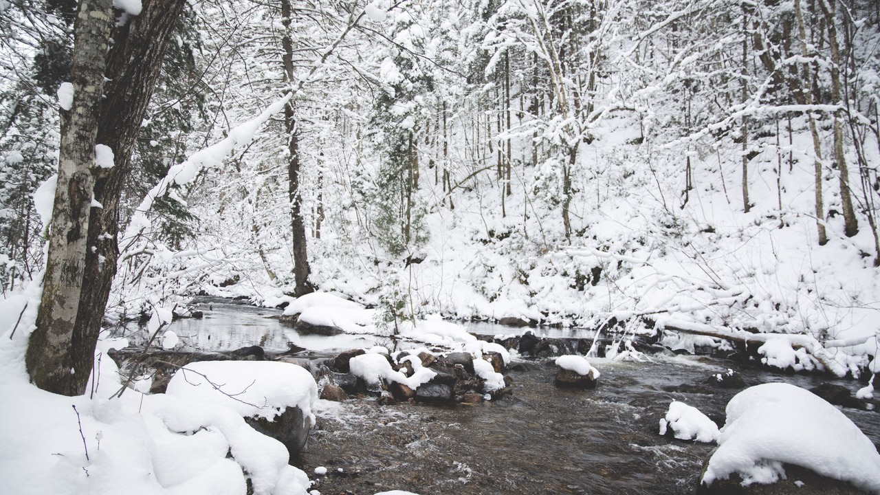 Photo of Outdoor in Sainte Rose du Nord