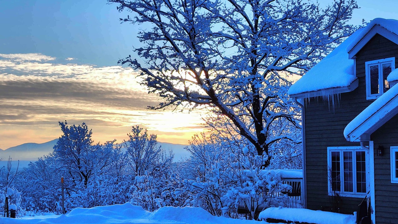 Photo of Outdoor in Potton