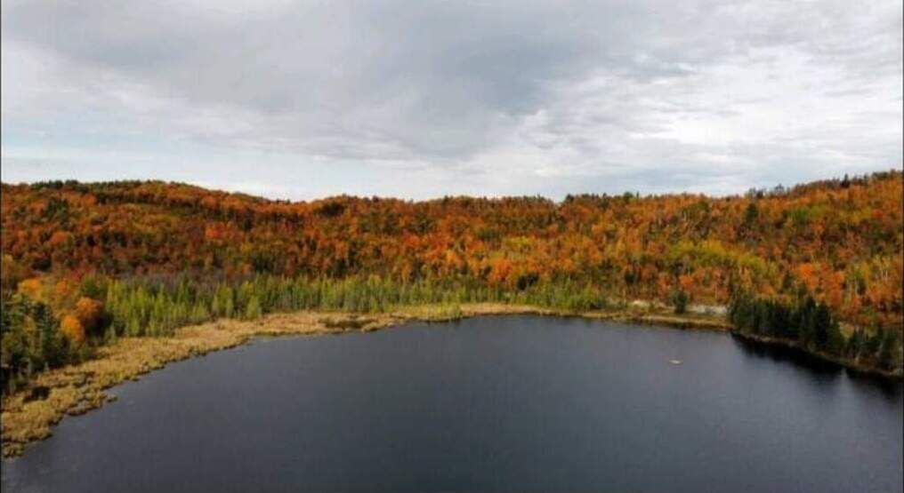 Photo of Outdoor in Thorne