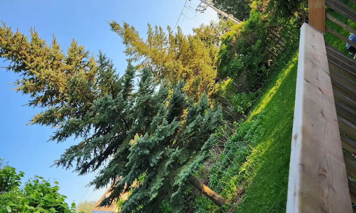 Photo of Outdoor in Saint-Hubert