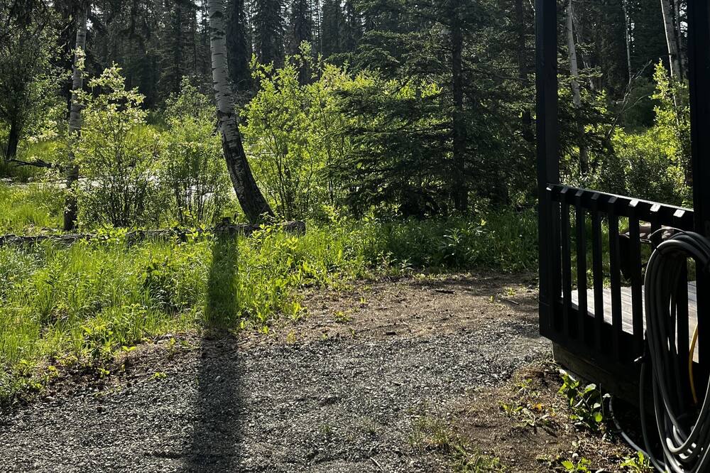 Photo of Outdoor in Sheridan Lake