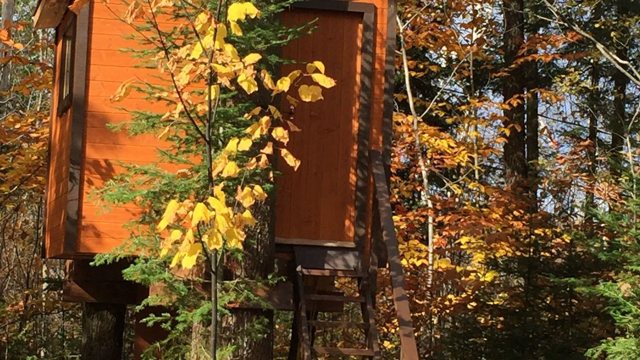 Photo of Outdoor in Gore